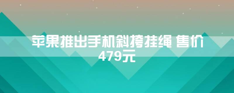 苹果推出手机斜挎挂绳 售价479元